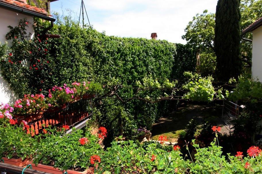 Gasthaus Casa Lemmi San Quirico dʼOrcia Exterior foto